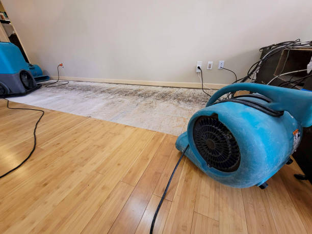 Professional Structural Drying technician working in Thornton, TX